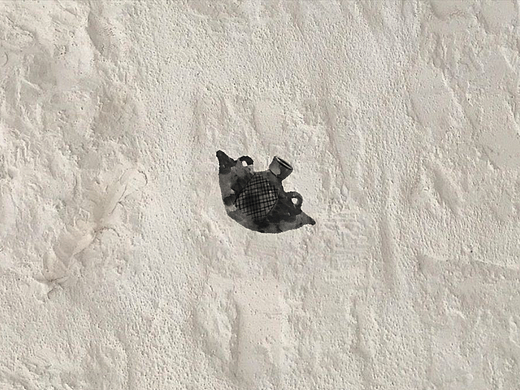 陶（个人主页-ZNjkwNzkwNDA=） - 艺术插画 - 站酷设计师打嗝小羊原创素材 - 站酷ZCOOL