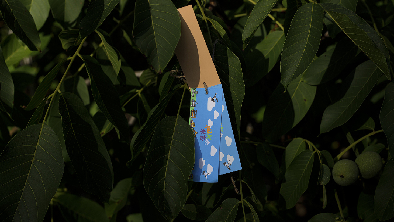 MIKE米克儿童玩具品牌设计