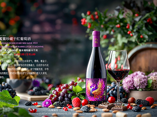 九雏鸑鷟珍藏干红葡萄酒 贺兰山东麓 九雏酒庄 海报