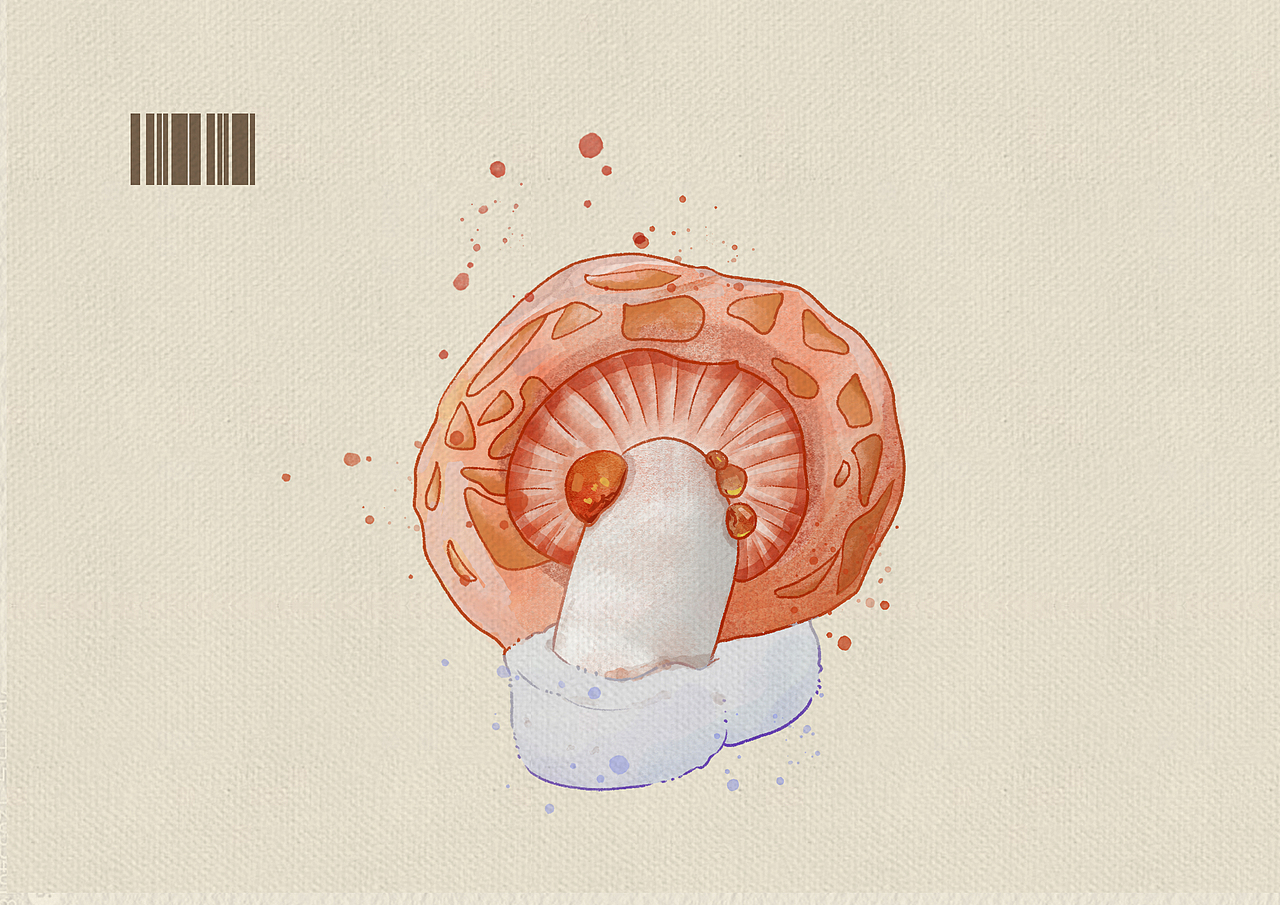 蘑菇 蘑菇（图ZMzczMzU1NjM2） - 创作习作 - 站酷设计师银桑的草莓味酸奶原创素材 - 站酷ZCOOL