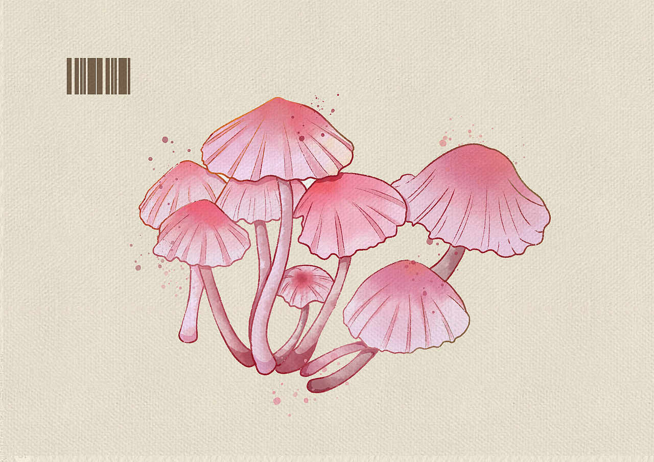 蘑菇 蘑菇（图ZMzczMzU1NjIw） - 创作习作 - 站酷设计师银桑的草莓味酸奶原创素材 - 站酷ZCOOL