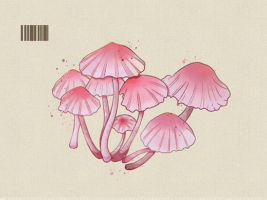 蘑菇 蘑菇（个人主页-ZNjkwODcxMTY=） - 创作习作 - 站酷设计师银桑的草莓味酸奶原创素材 - 站酷ZCOOL
