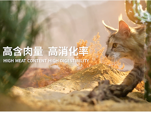 布兰德生骨肉系列猫粮