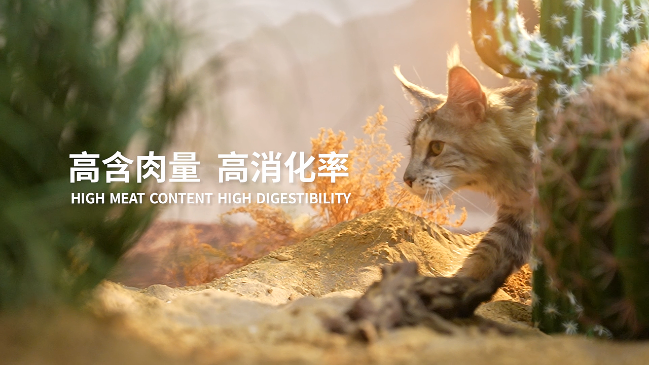 布兰德生骨肉系列猫粮（图ZMzczMzYzMDE2） - 产品摄影 - 站酷设计师野生摄影师大瑶原创素材 - 站酷ZCOOL