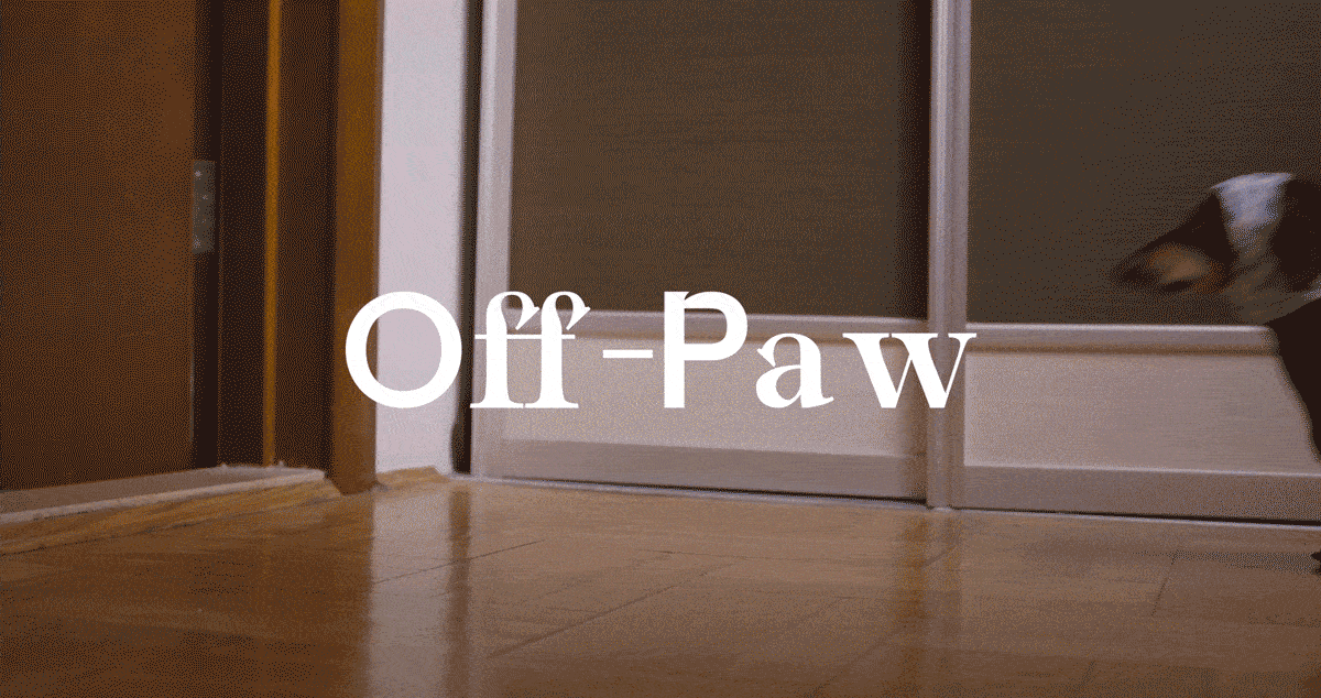 Off-Paw宠物服饰品牌设计"（图ZMzczMzc2NTA0） - 品牌 - 站酷设计师一个善良的乙方原创素材 - 站酷ZCOOL