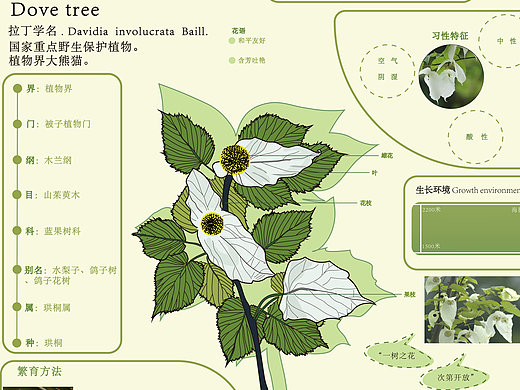 信息可视化稀有植物篇