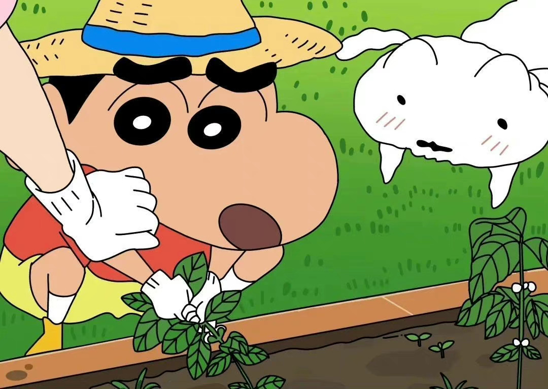 离江豆的个人主页（背景预览） - 主页背景设置 - 站酷设计师离江豆原创素材 - 站酷ZCOOL