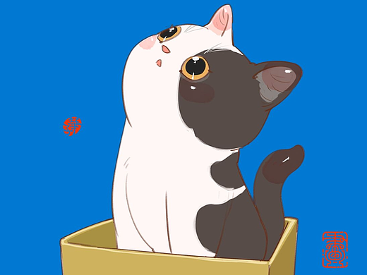 画猫的1651天，带着猫猫闯天涯！