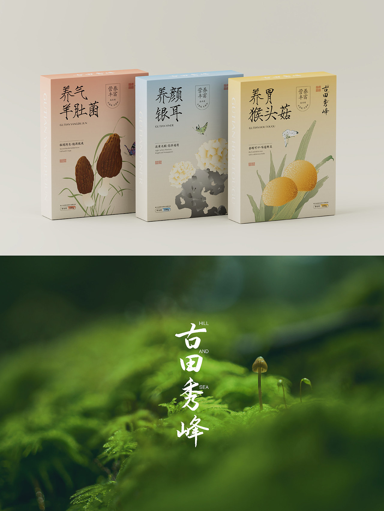 M1NG新作 l 宋朝美学山野臻品包装🌟🌟🌟