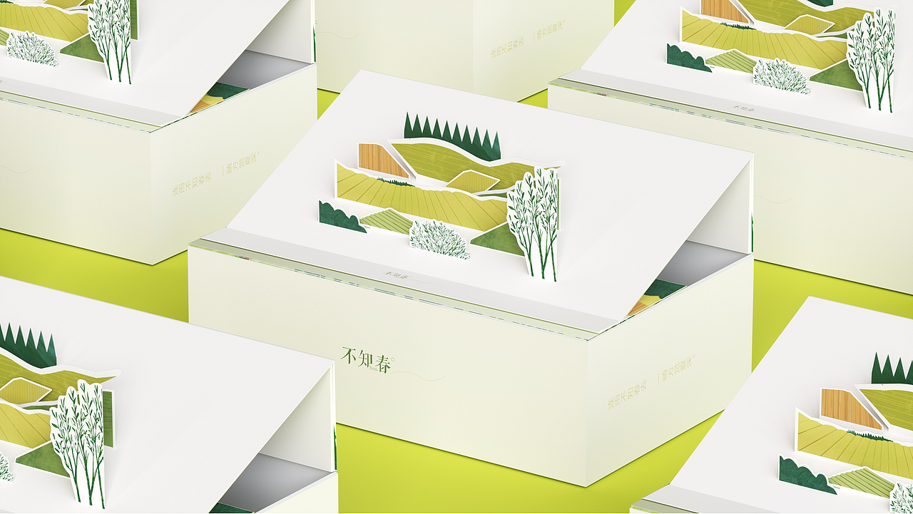 《不知春》原创茶叶包装 | 课程作业