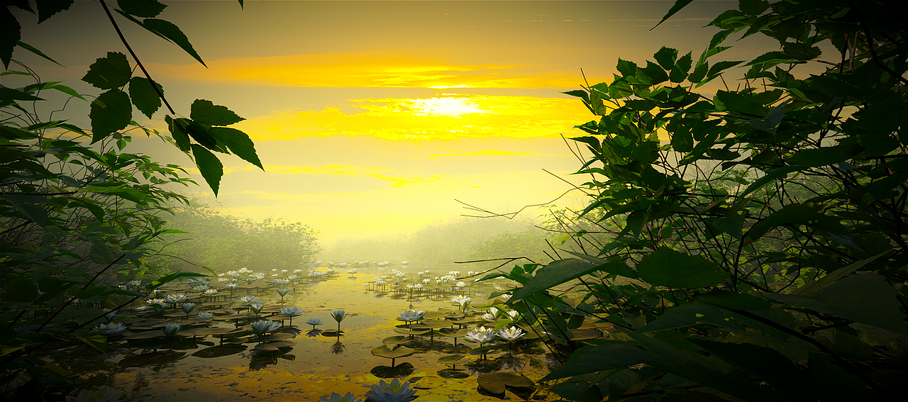 C4D-《荷塘景观》（图ZMzczNDM0MjE2） - 场景 - 站酷设计师小周童鞋丶原创素材 - 站酷ZCOOL