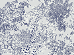 西餐厅植物主题图案设计