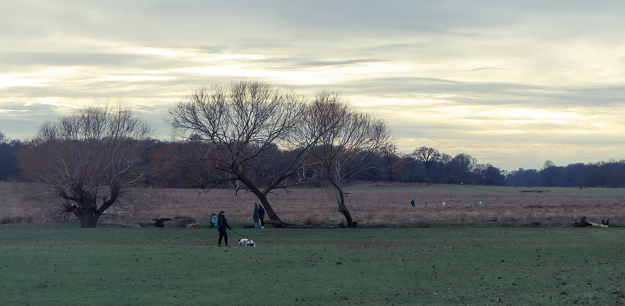 摄影作品（图ZMzczNDQ0NTU2） - 其他摄影 - 站酷设计师夏KISHA原创素材 - 站酷ZCOOL