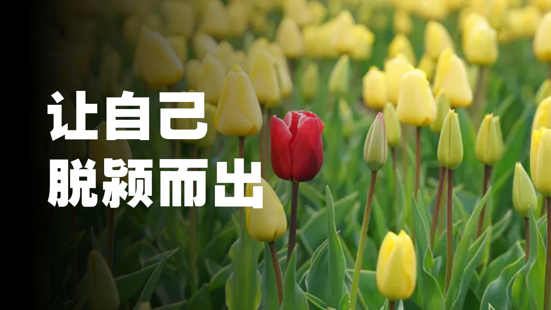 让自己脱颖而出