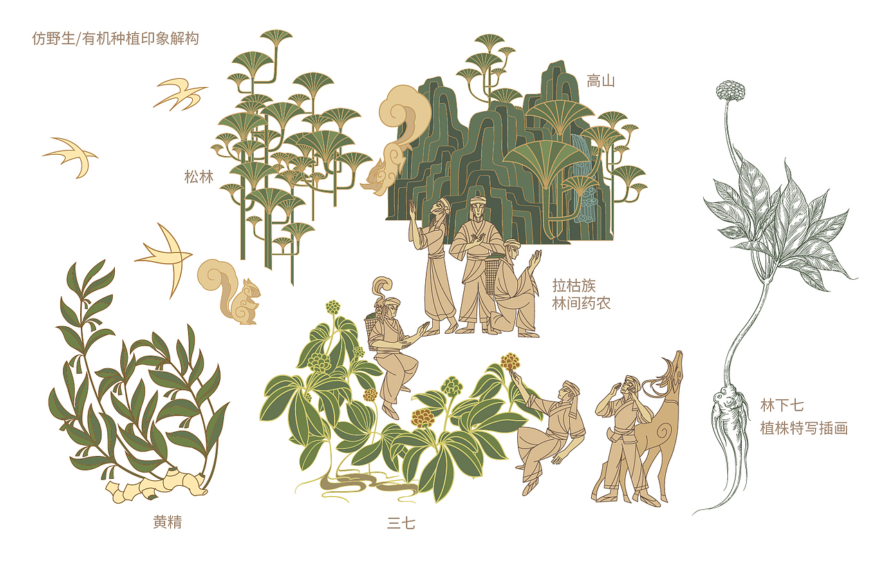 神秘南国神草|三七品牌包装系统BPI设计(图ZMzczNDQ3Mzgw) - 包装 - 站酷设计师李家生原创素材 - 站酷ZCOOL