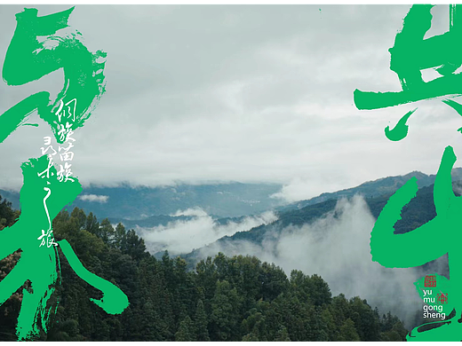 大王椰“寻木之旅”计划 | 《与木共生》