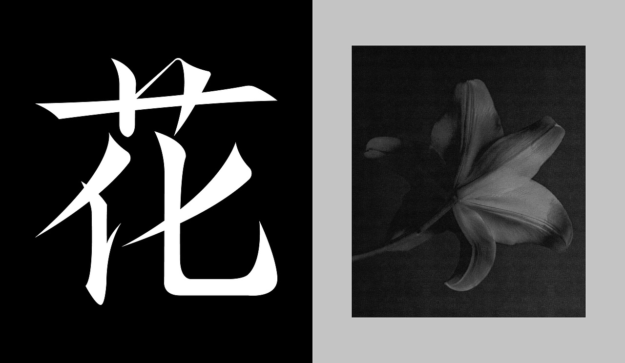 咖啡品牌设计 | 爱美丽的花园