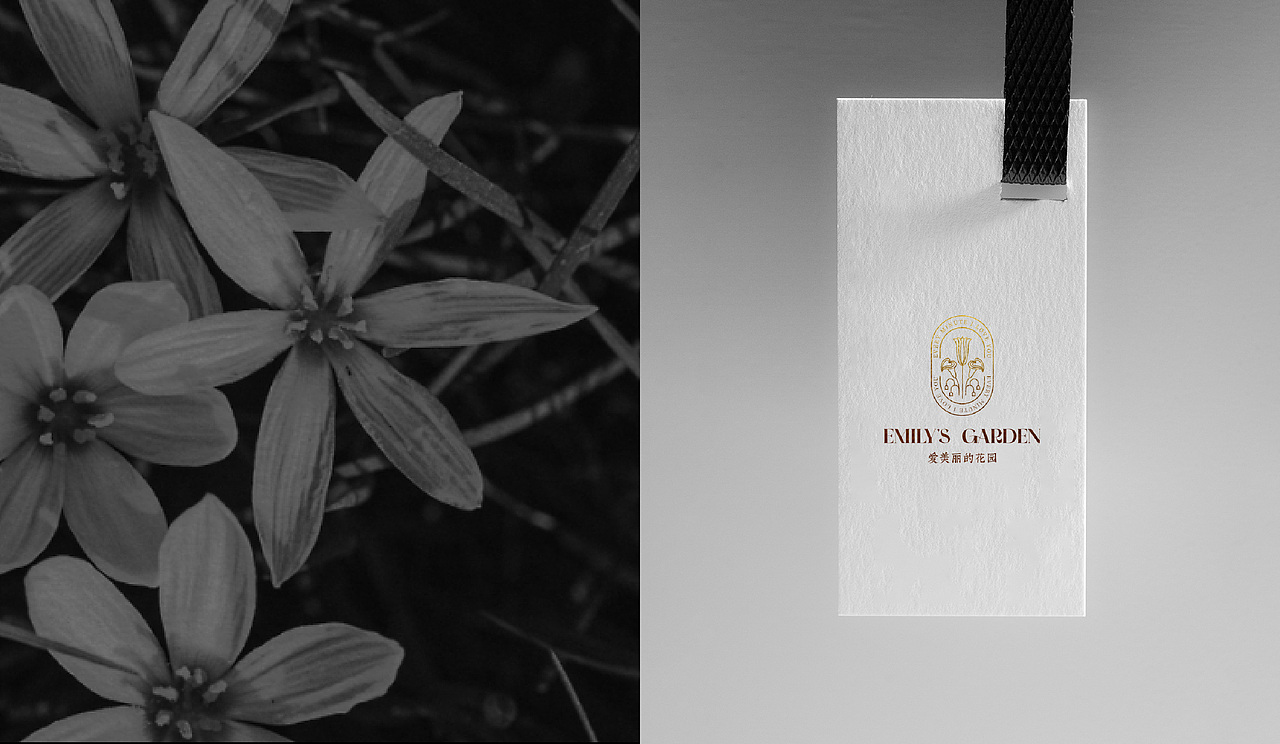 咖啡品牌设计 | 爱美丽的花园