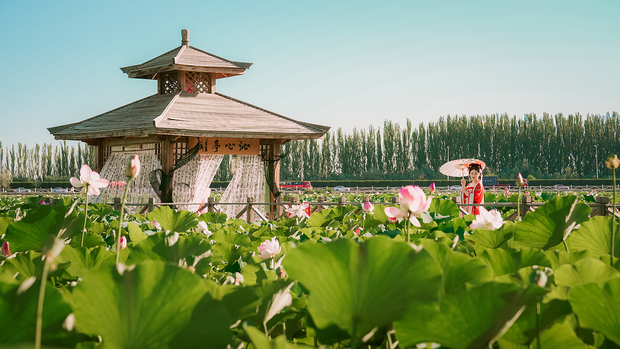 盛夏 | 汉服 | 荷花（图ZMzczNDczMTEy） - 人像摄影 - 站酷设计师Tol去发现美原创素材 - 站酷ZCOOL