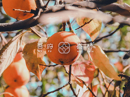 吾府喜柿｜中国风 农产品 水果ogo设计 vi系统设计