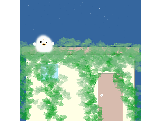 小鸟的夜晚