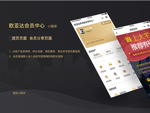 实体店会员项目