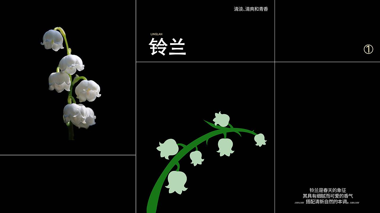 觅野林香-户外香水品牌设计