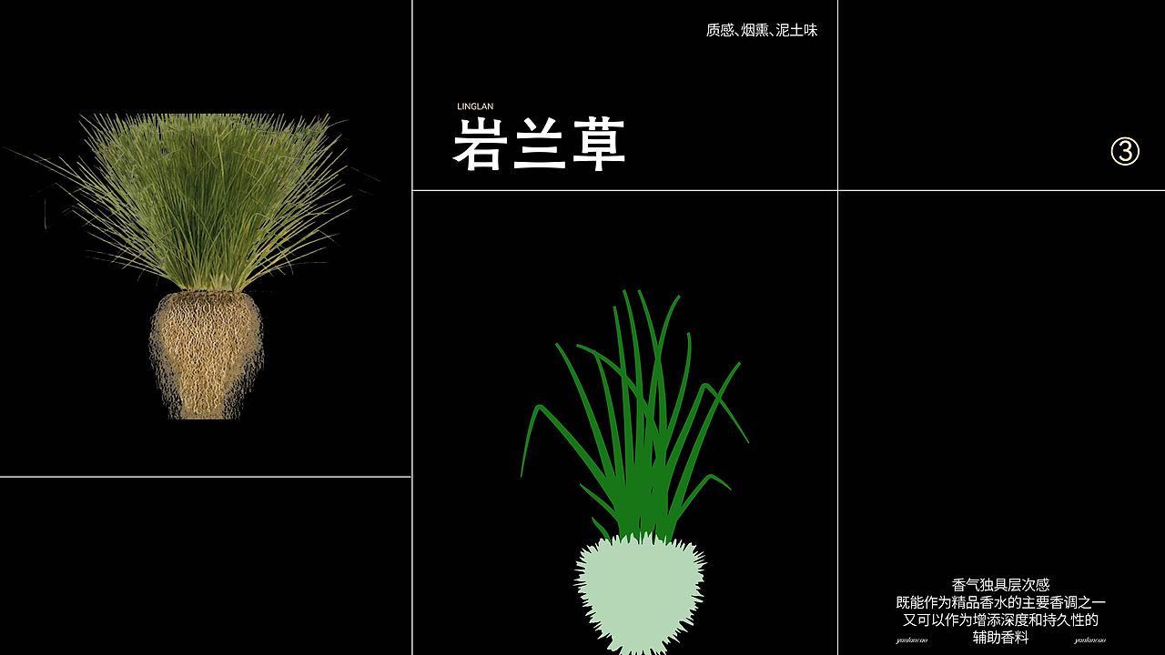 觅野林香-户外香水品牌设计