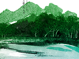 绿野寻踪