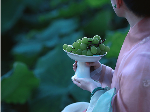 人间事·荷韵叁