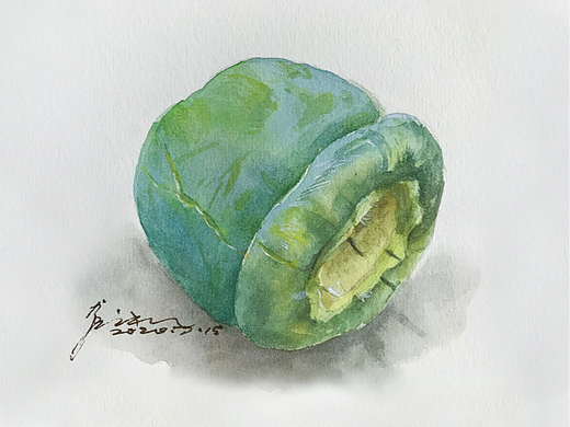 柿柿如意