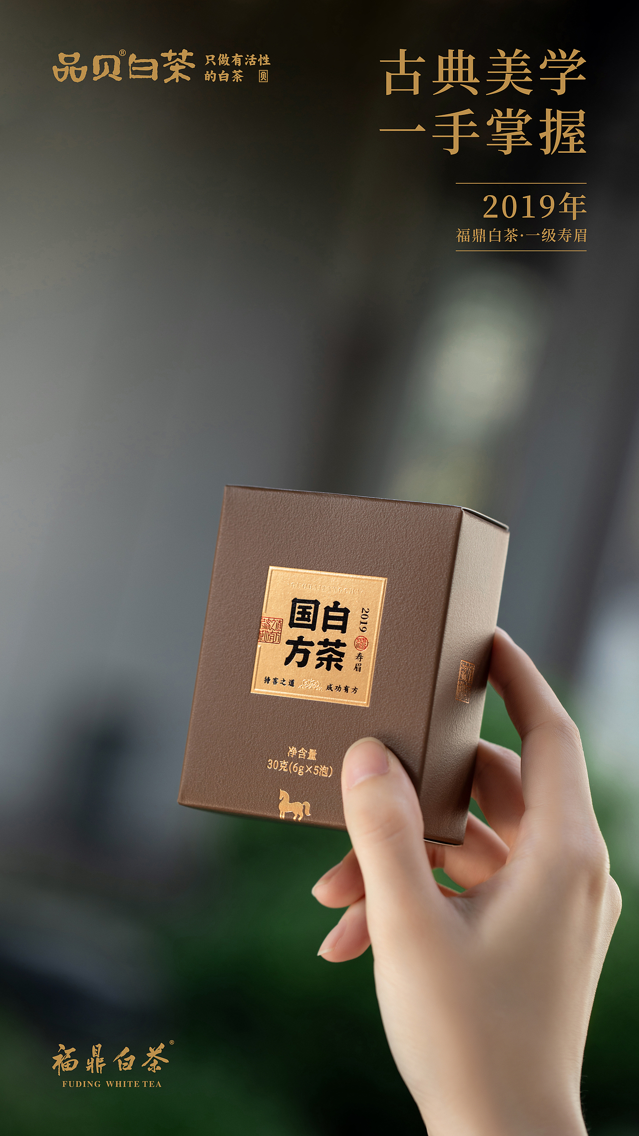 品贝白茶——国方白茶（图ZMzczNTczNzQ0） - 产品摄影 - 站酷设计师亲研图摄原创素材 - 站酷ZCOOL
