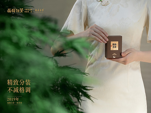 品贝白茶——国方白茶
