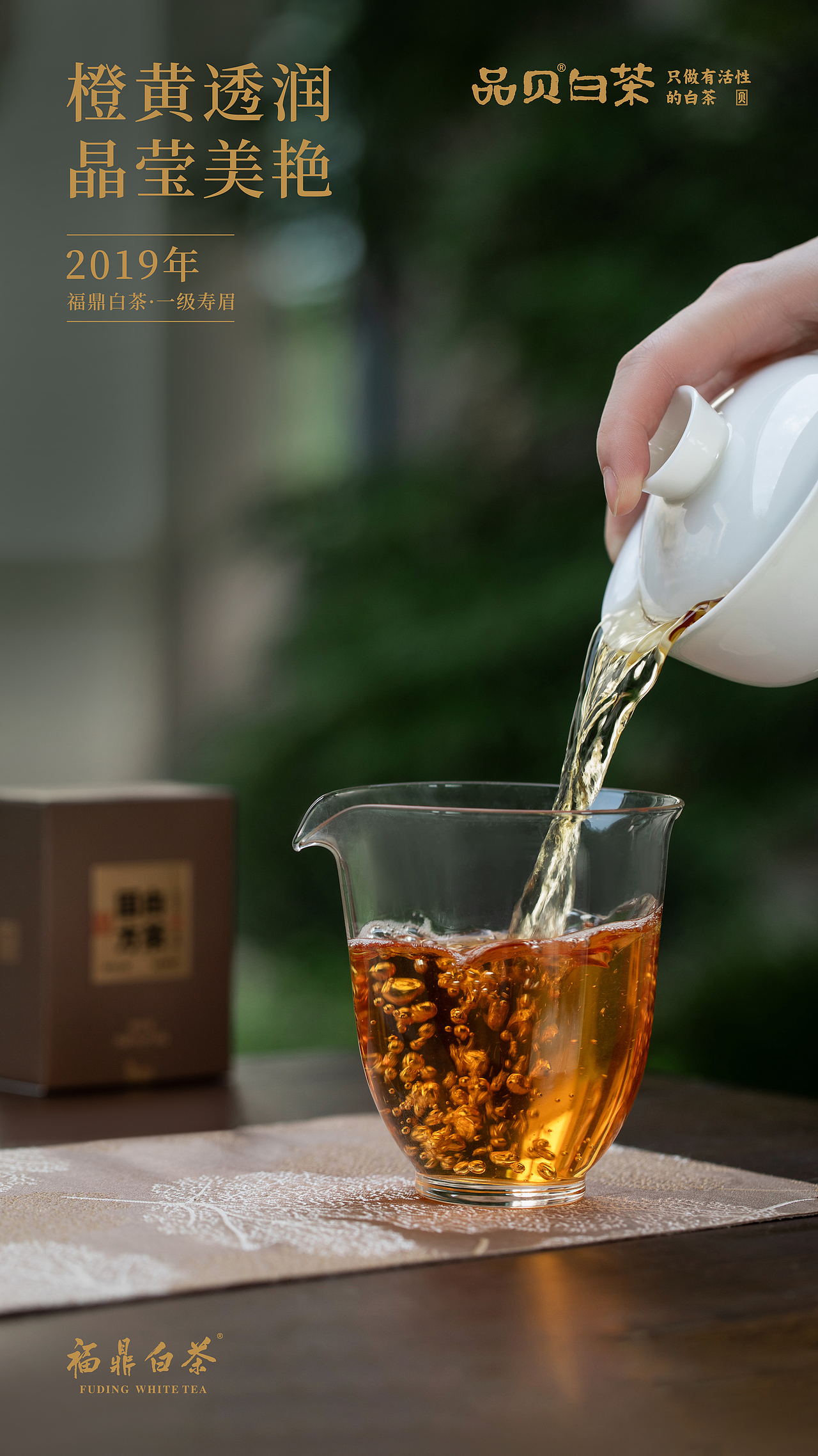 品贝白茶——国方白茶（图ZMzczNTc1NTQ4） - 产品摄影 - 站酷设计师亲研图摄原创素材 - 站酷ZCOOL