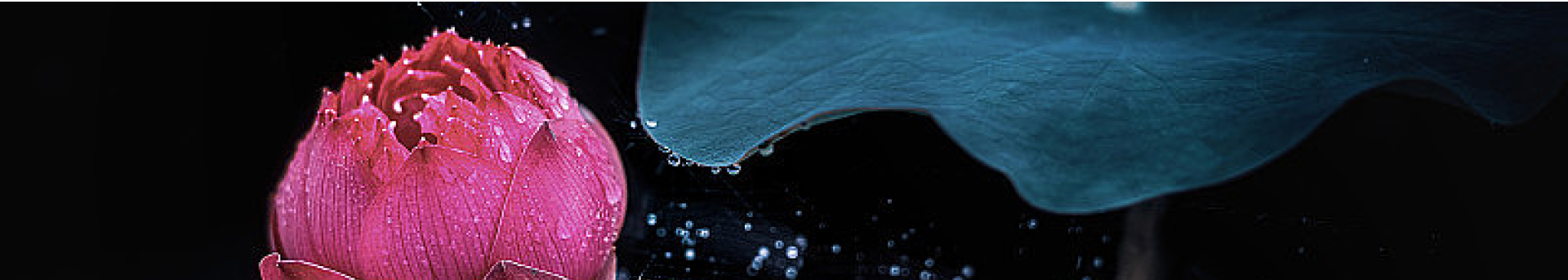 拉菲儿的个人主页（封面预览） - 主页封面设置 - 站酷设计师拉菲儿原创素材 - 站酷ZCOOL