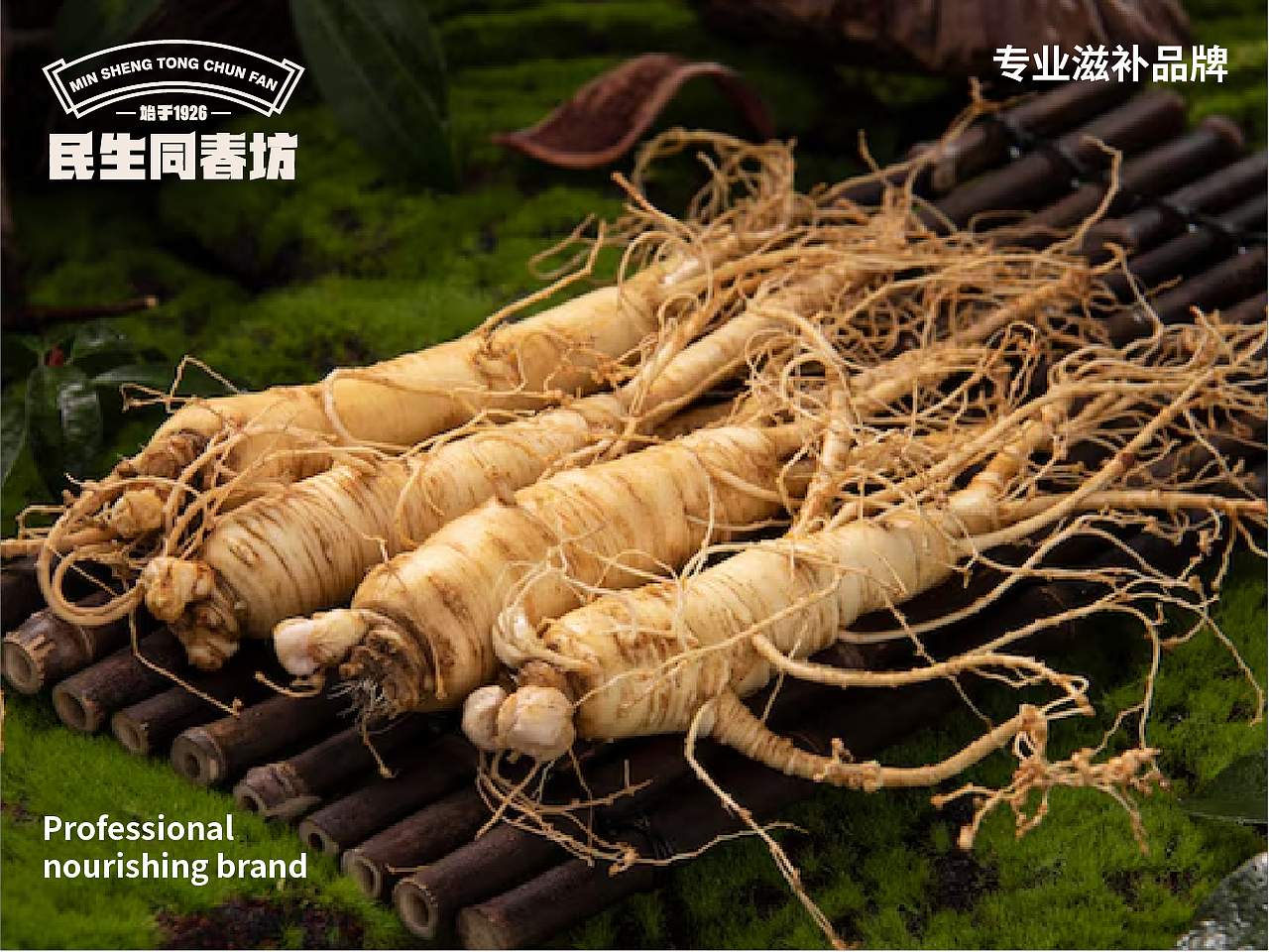 民生同仁堂-专业滋补品牌（图ZMzczNjQ0NjE2） - 品牌 - 站酷设计师文武品牌设计原创素材 - 站酷ZCOOL