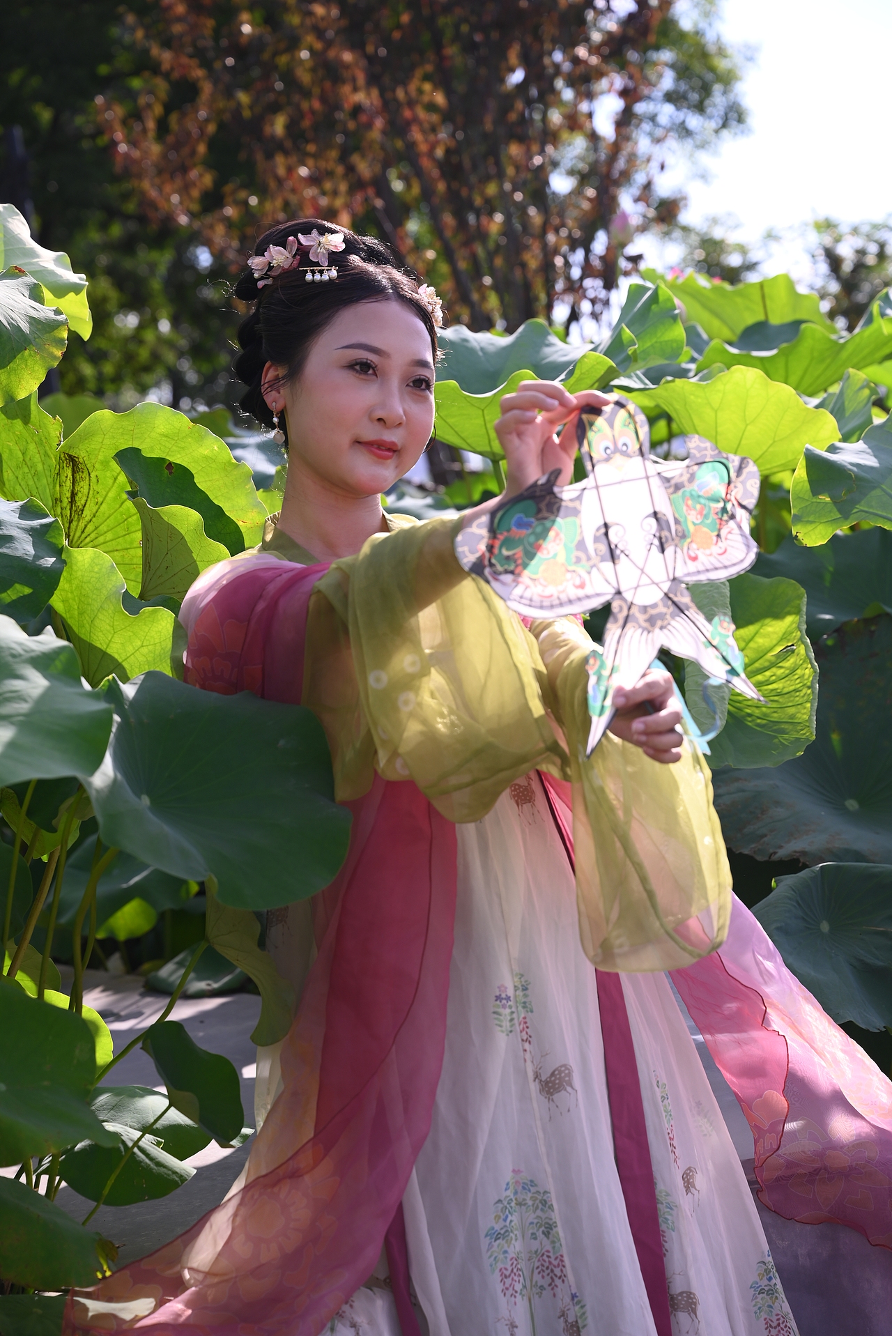 荷叶荷花与人像摄影