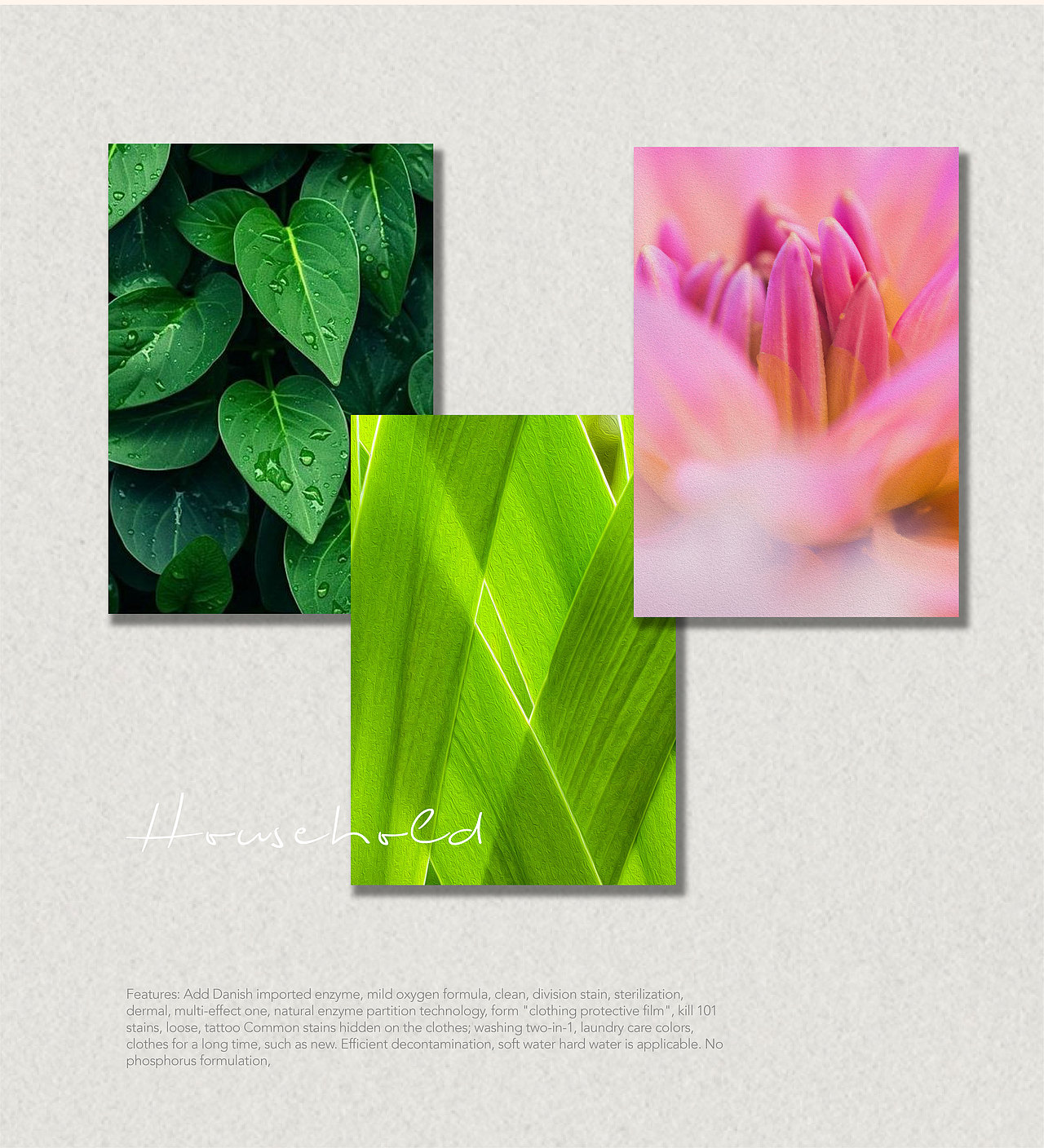 家清品牌包装设计