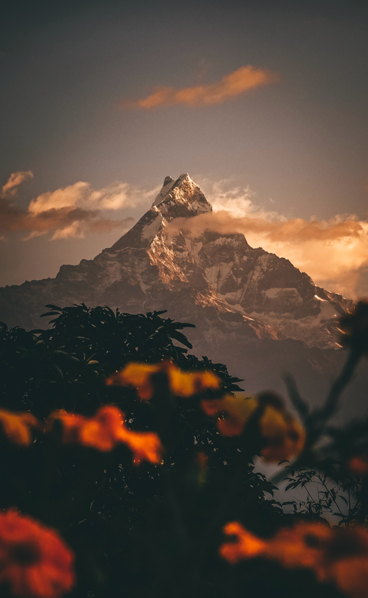 盛夏摄影集｜邀请酷友来一起摄影探险！（图ZMTQ4NTAyNjQ=） - 资讯 - 站酷设计师站酷活动原创素材 - 站酷ZCOOL