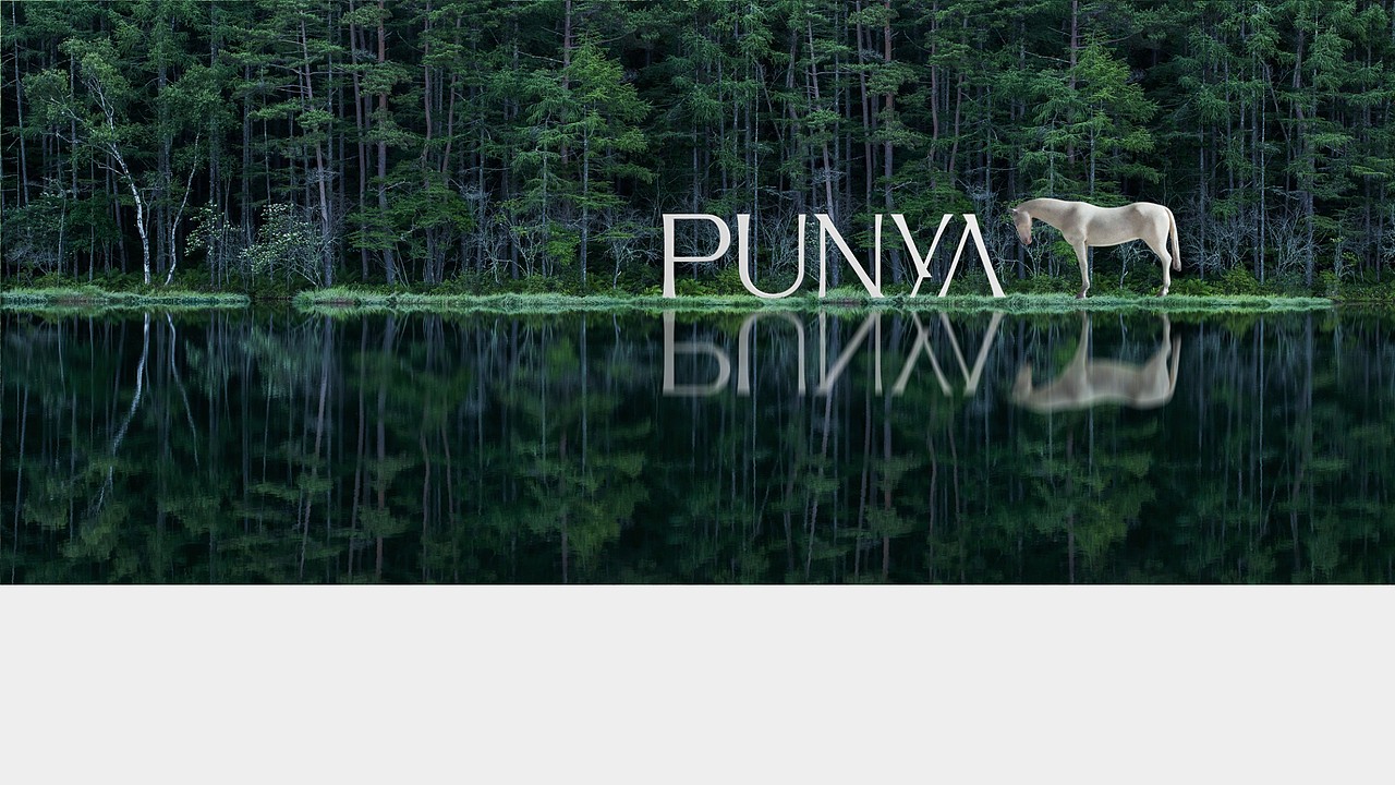 朴 那 雅（图ZMzczNjc1ODI4） - 品牌 - 站酷设计师TZX99原创素材 - 站酷ZCOOL