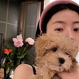章鱼丸子SN的头像