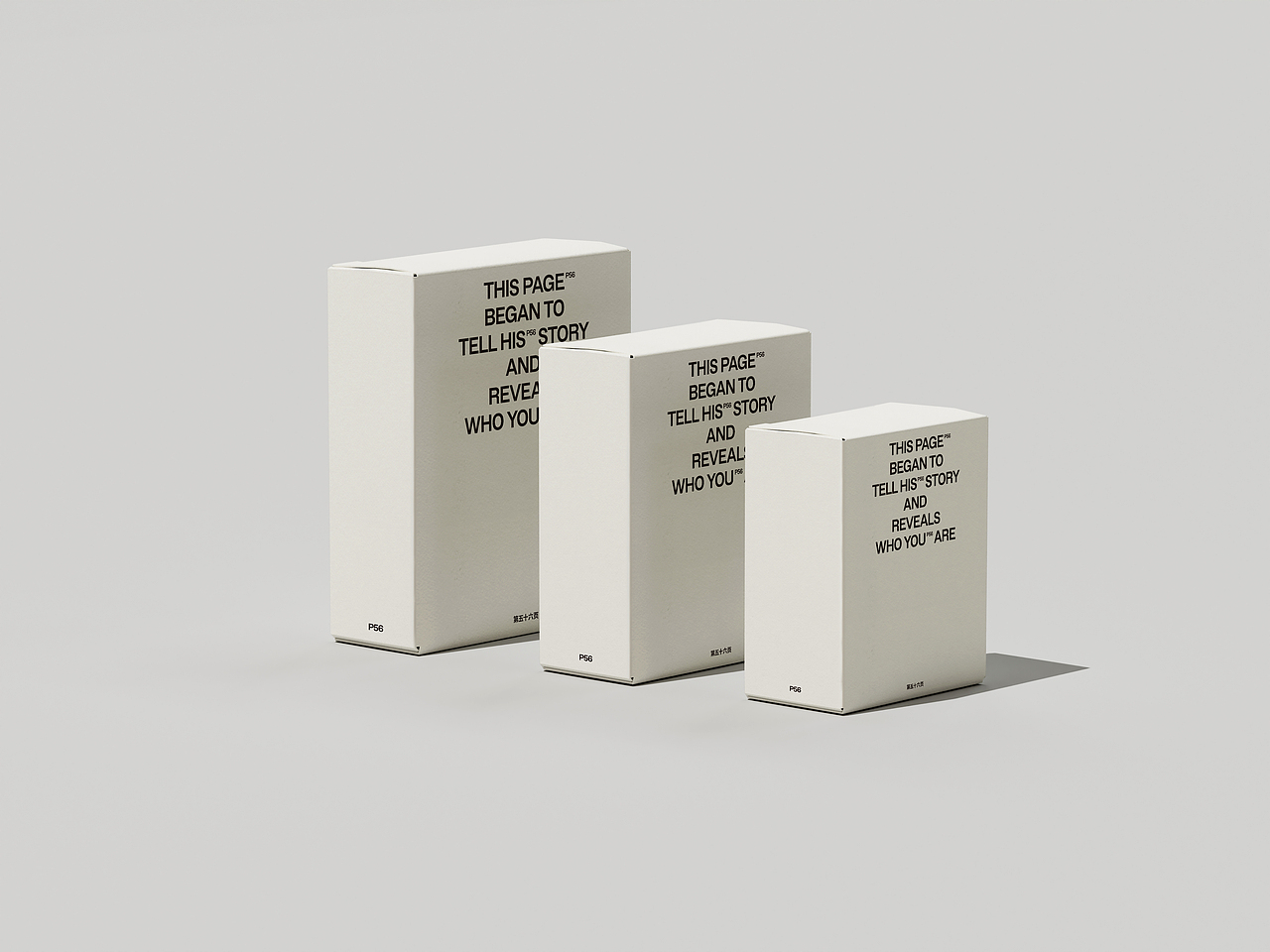 P56潮牌服装品牌形象设计（图ZMzczNzMyOTQ0） - 品牌 - 站酷设计师OneByOneLab原创素材 - 站酷ZCOOL