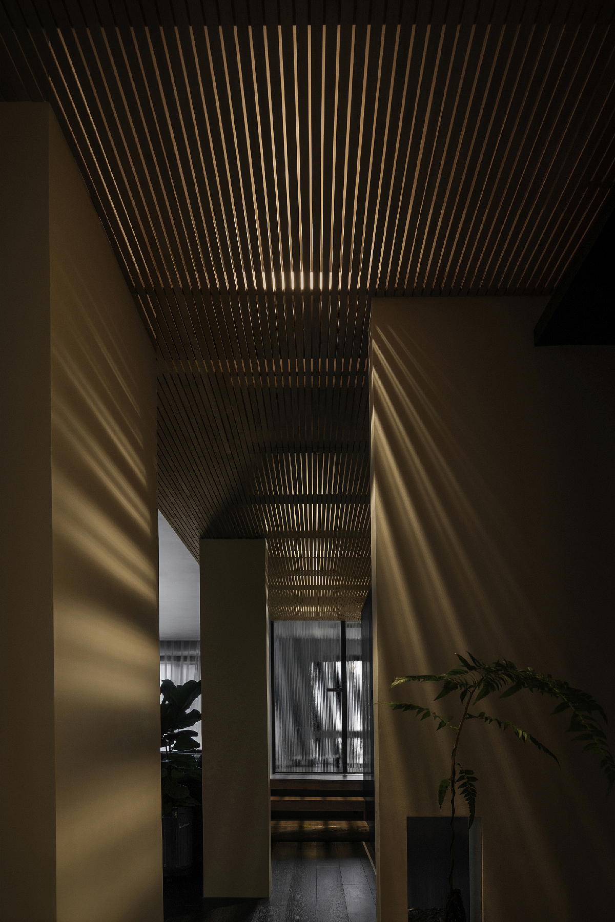 CUN寸DESIGN崔树|:树之宅02-竹的盒子