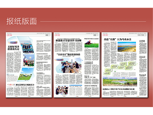 报纸纯纯的新闻版面一组