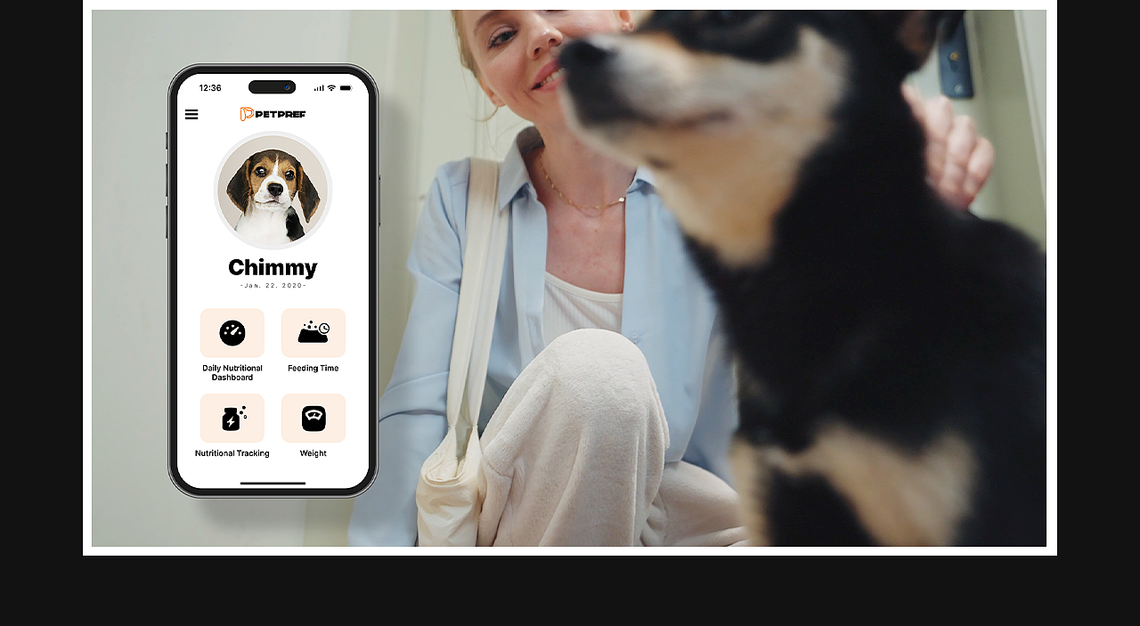 2022-2024 UI&logo作品合集