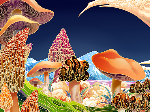 新疆野山菌礼盒插画---新疆特产，礼品首选