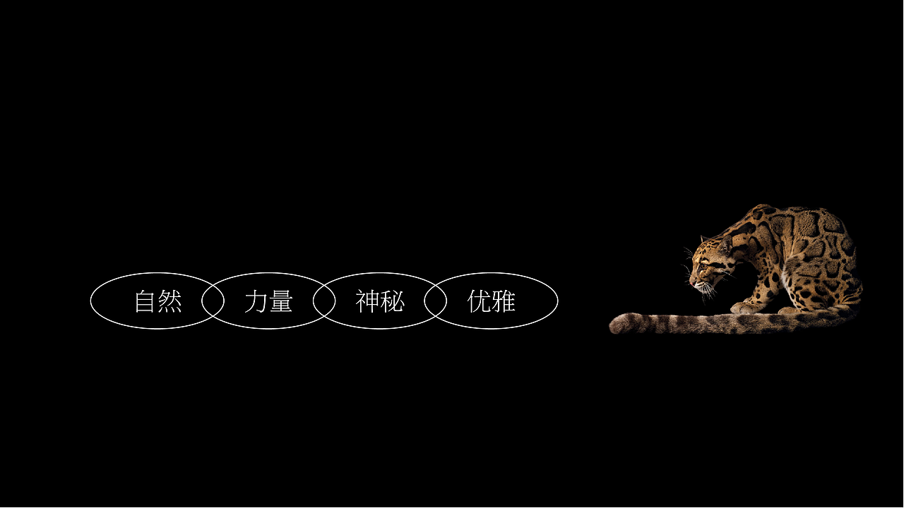 普洱龙珠茶包装设计丨礼盒设计丨 茶包装设计丨茶礼盒