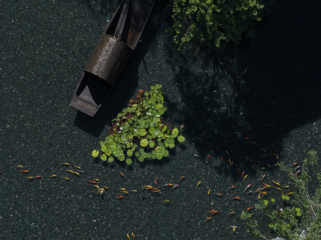 地产景观摄影|建发·玺云