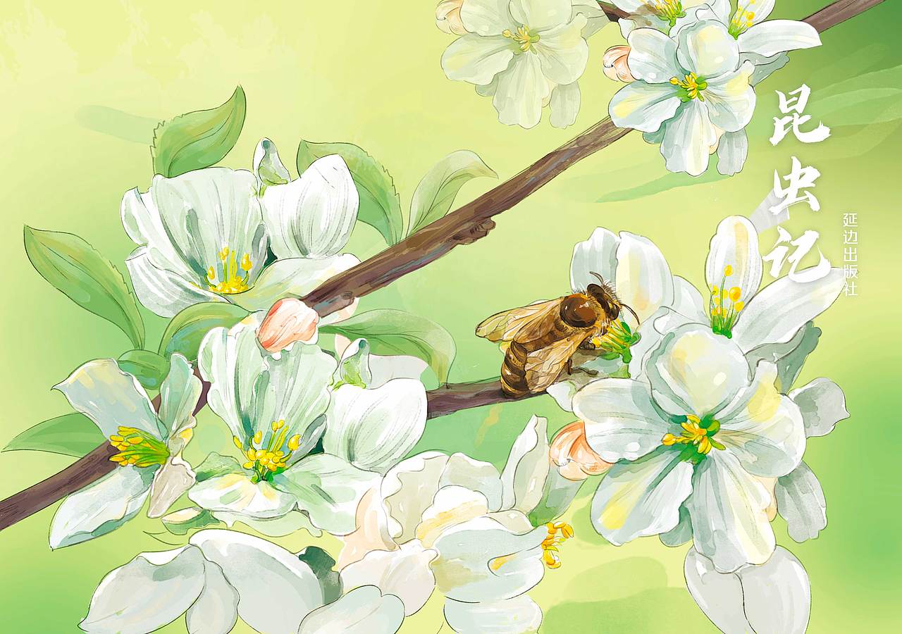 昆虫记（图ZMzczNzc4MjU2） - 儿童插画 - 站酷设计师它日卷土重来原创素材 - 站酷ZCOOL