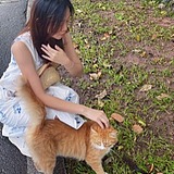 小译晗同学的头像